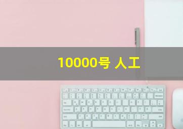 10000号 人工